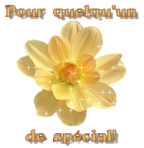 pour quelqu'un de spécial!